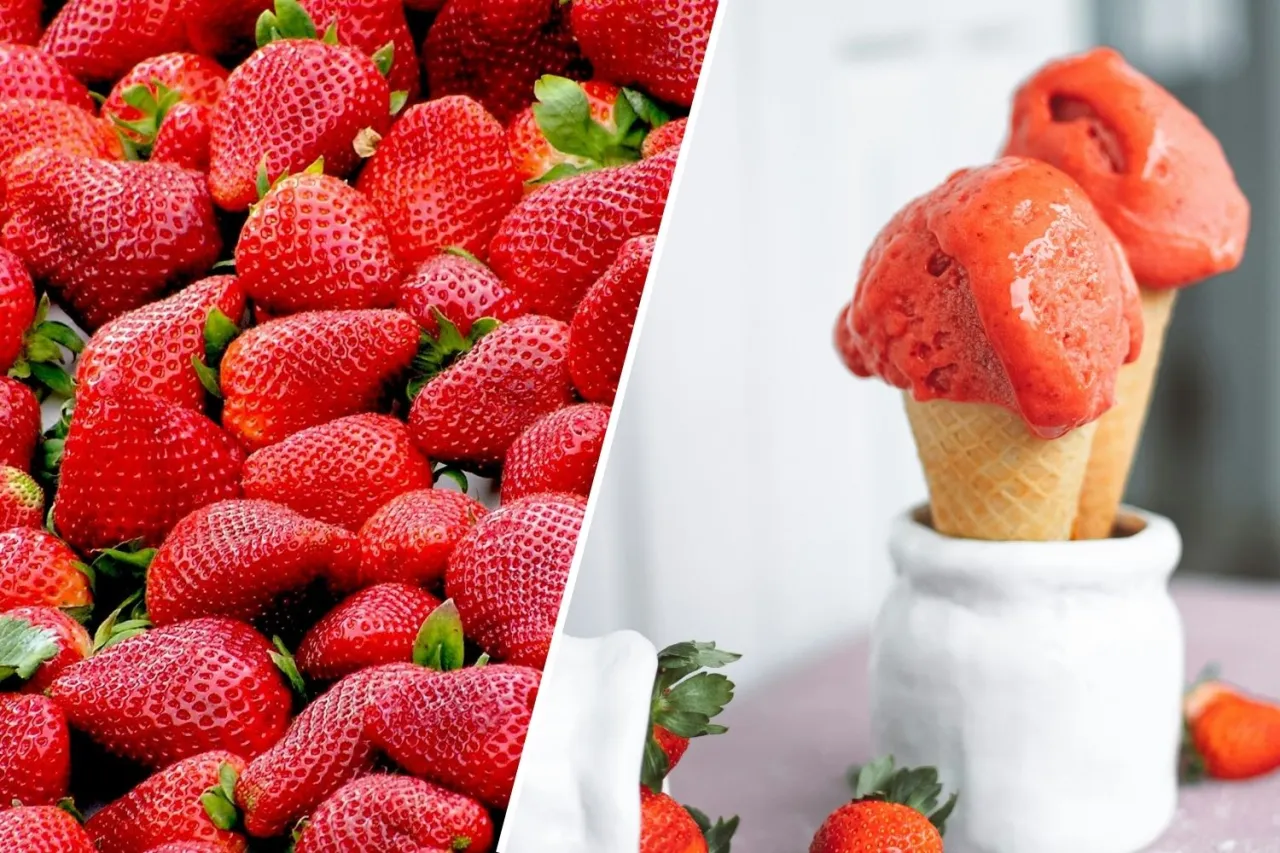 r&oacute;żne świeże owoce na sorbet