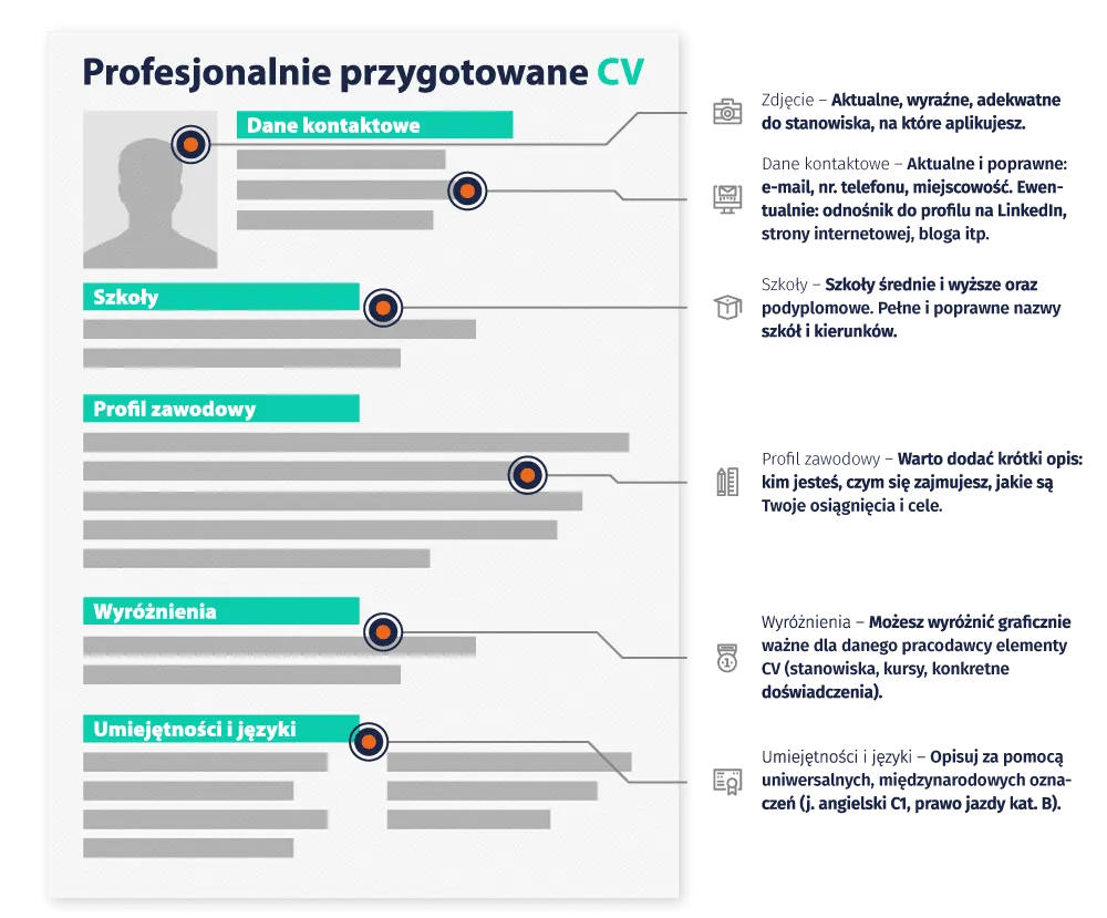 elementy profilu zawodowego infografika