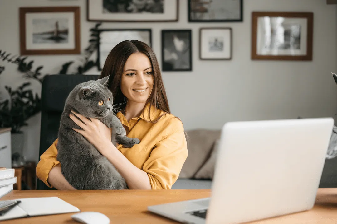 Rezerwacja wizyty u weterynarza online na laptopie