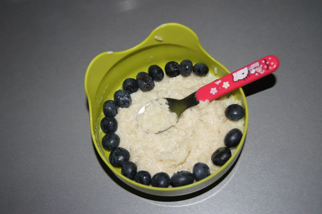 Składniki na ryż na mleku