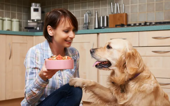 Właściciel podający psu tabletkę