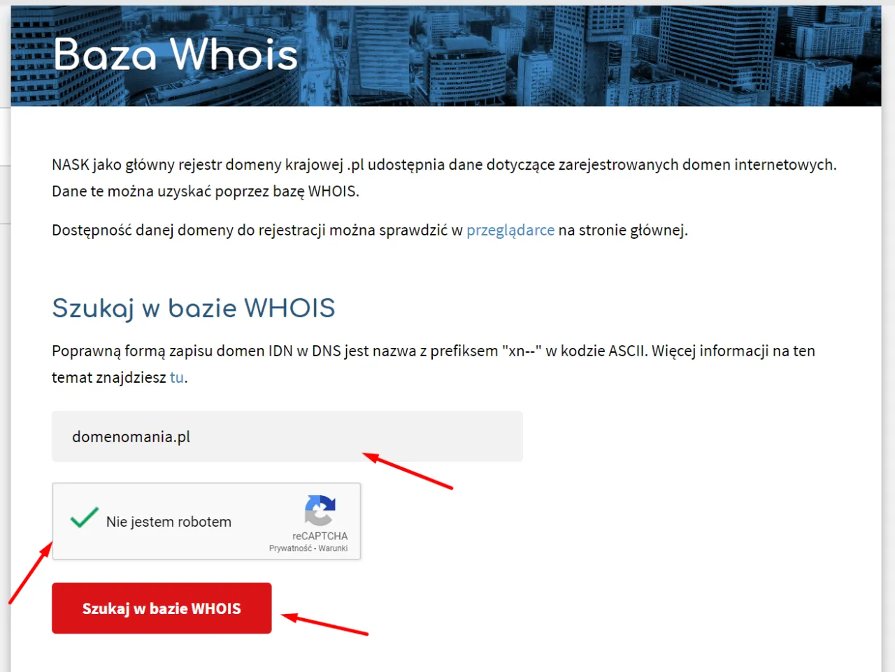 Baza danych WHOIS interfejs wyszukiwarki