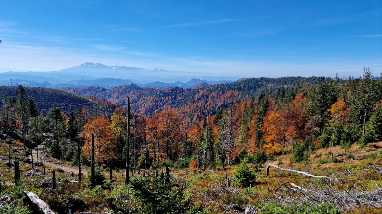 Dojazd samochodem do Bacówki na Obidzy parking