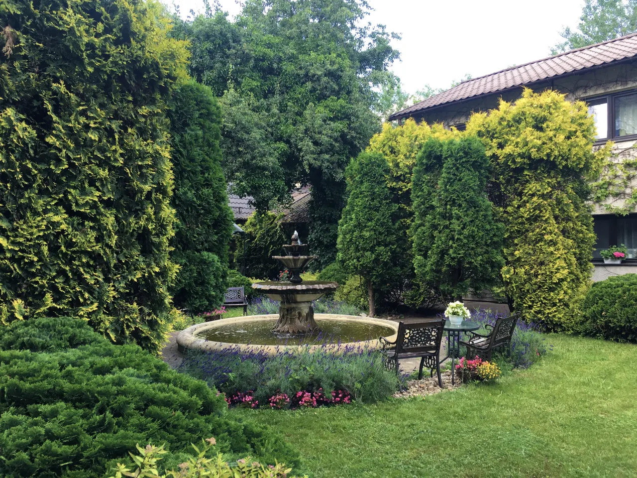 Dom Opieki Henryszew, otoczenie, park