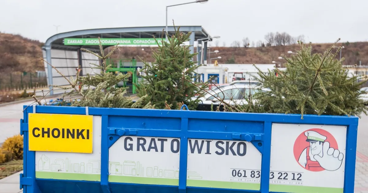 Zdjęcie Co zrobić ze starą papą? Uniknij kar i nielegalnego wywozu