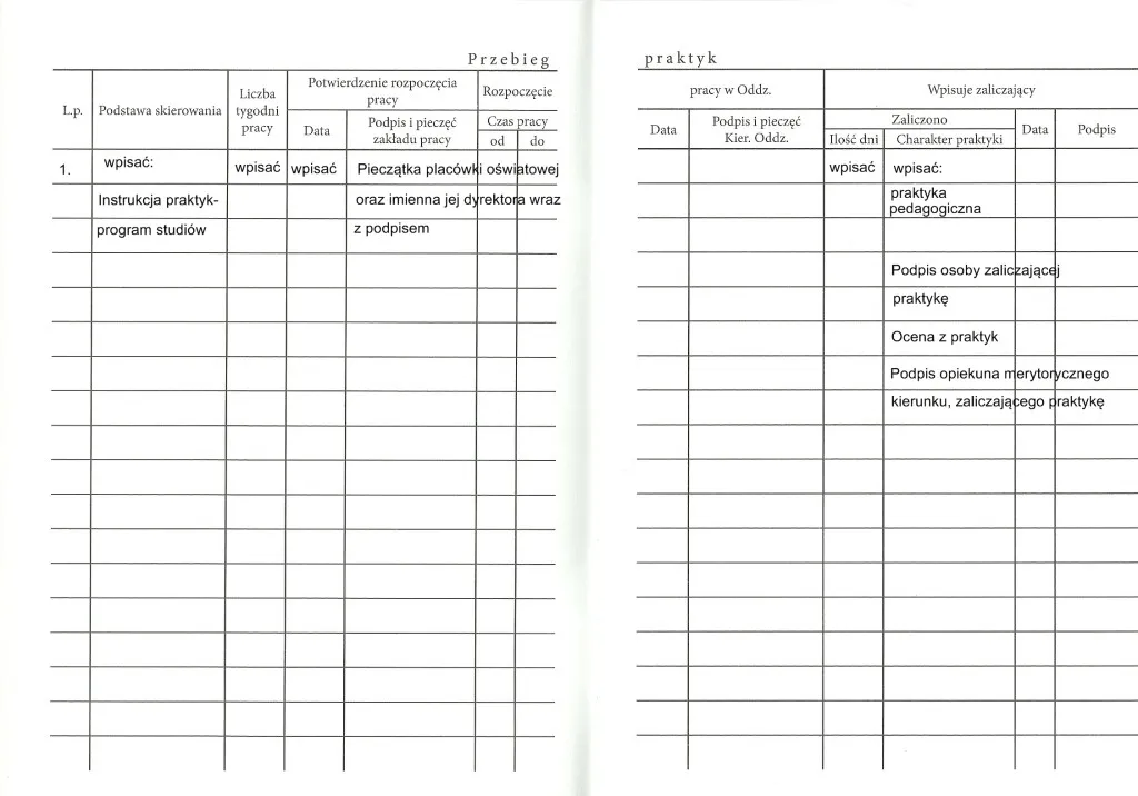 przykładowy dziennik praktyk wz&oacute;r