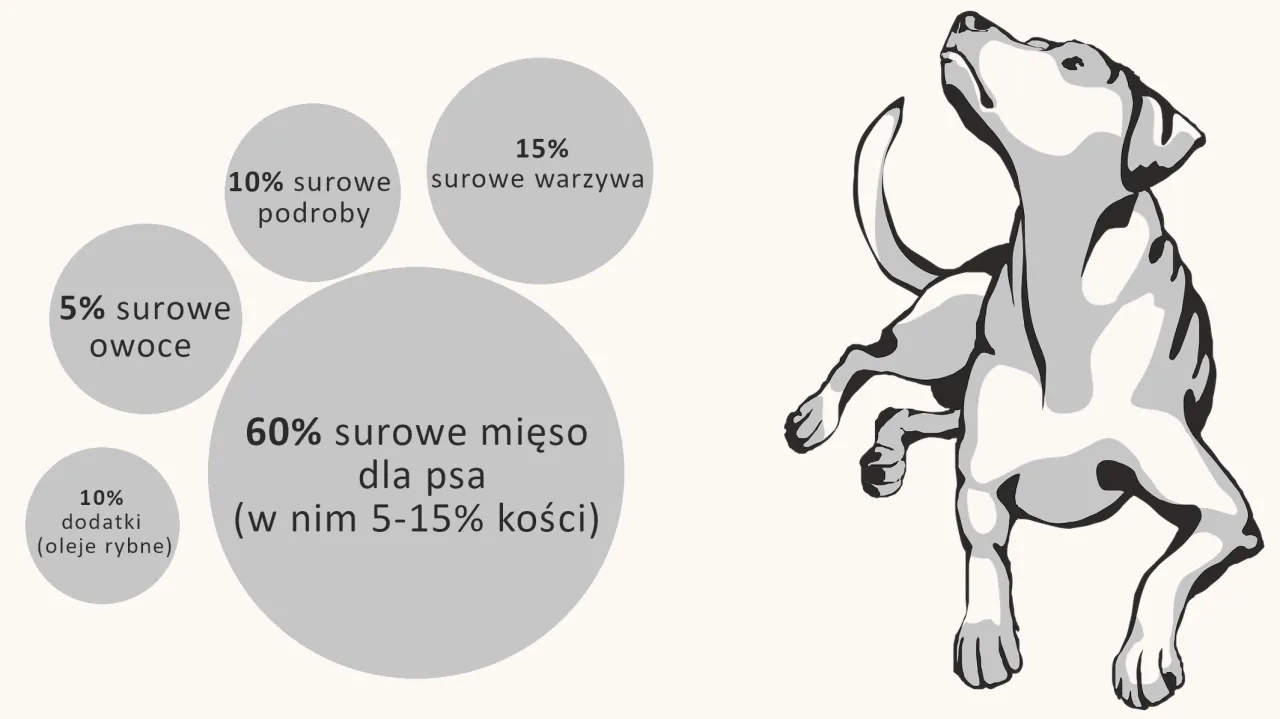 Składniki diety BARF proporcje