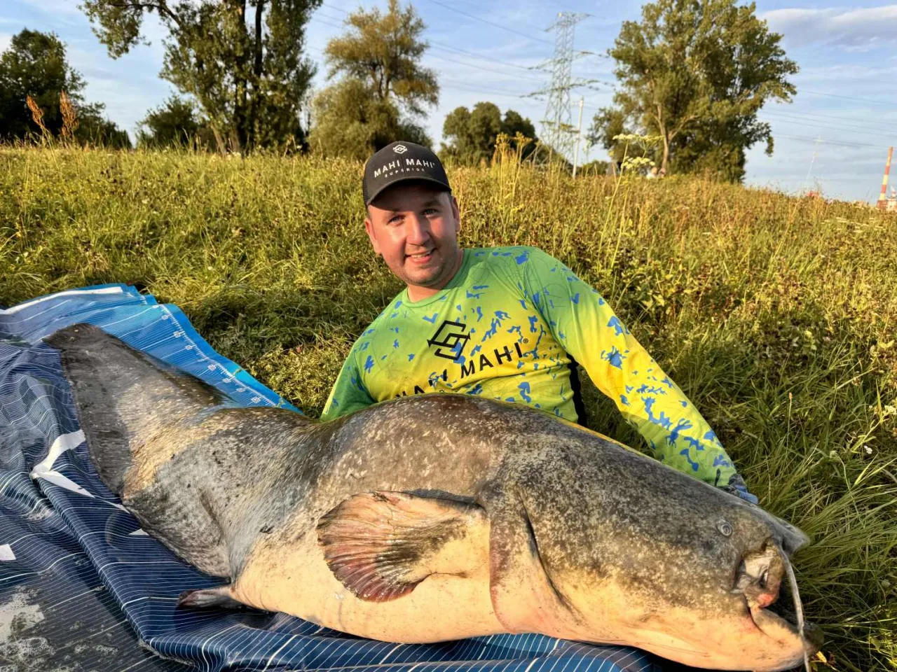 Wędkarz nęcący łowisko na suma