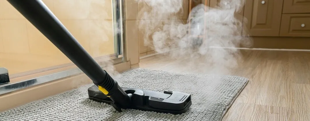 odkurzacz parowy czyszczący dywan