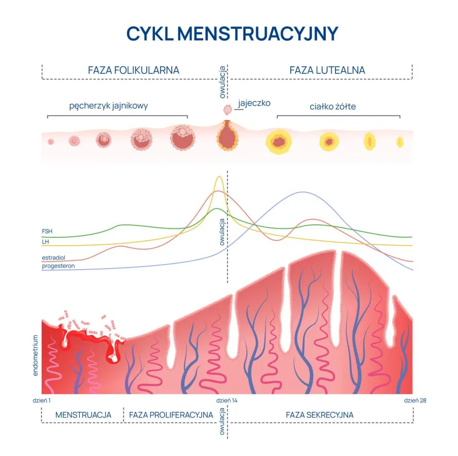 kobieta zestresowana cykl miesiączkowy zaburzenia hormonalne