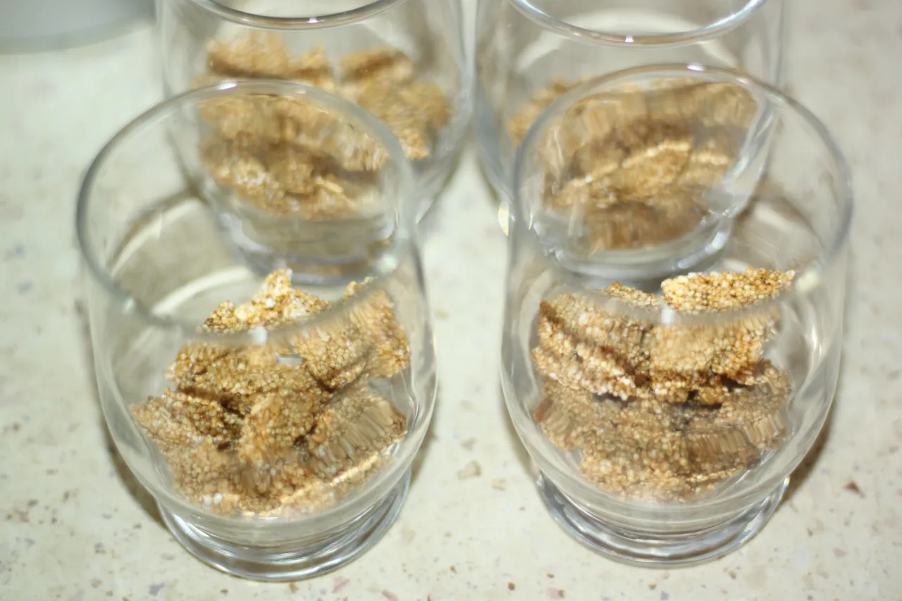 przechowywanie prażonego słonecznika w słoiku