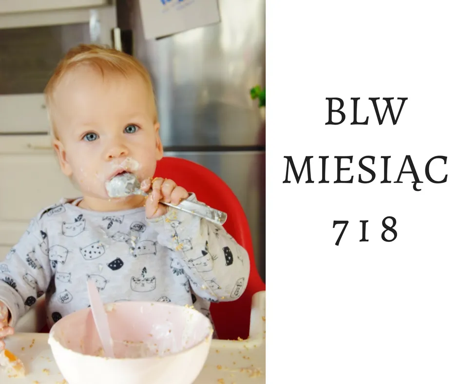 posiłki BLW dla 8 miesięcznego dziecka