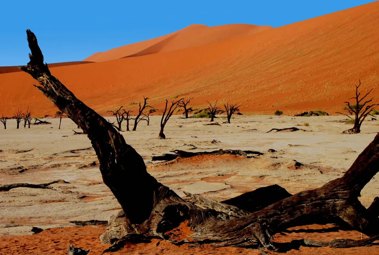 Krajobrazy Namibii pustynia