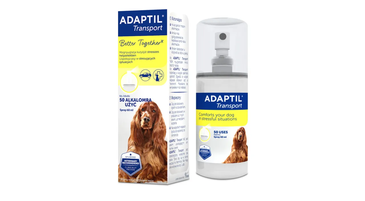 suplementy uspokajające dla psa, feromony dla psa, olejki CBD dla ps&oacute;w