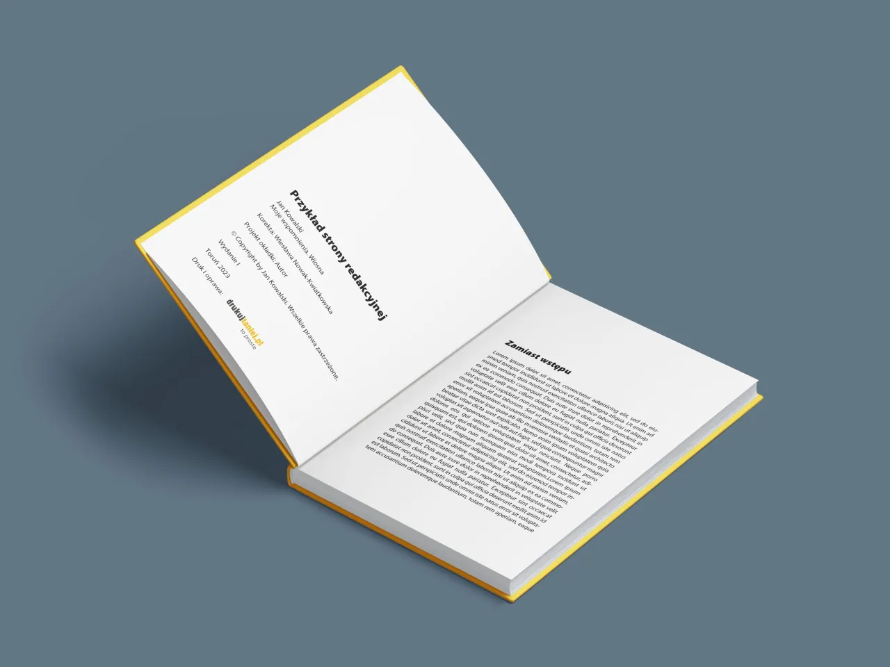 Przykładowy układ strony książki edukacyjnej