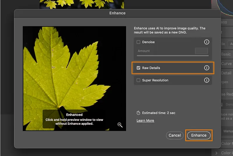 Adobe Camera Raw Detail panel