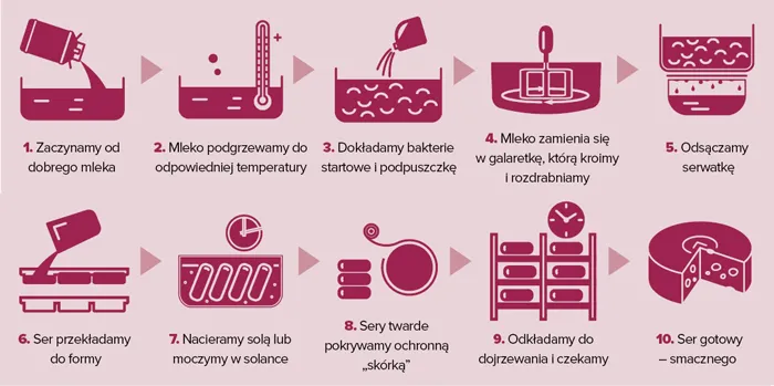 Rodzaje podpuszczki w produkcji sera infografika