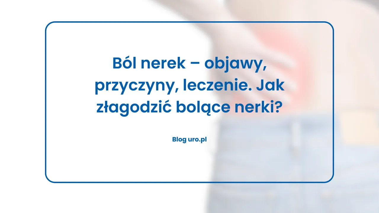 kiedy do lekarza z b&oacute;lem nerek infografika