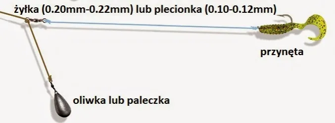 Zdjęcie Boczny trok – skuteczne techniki i tajniki łowienia okoni i sandaczy