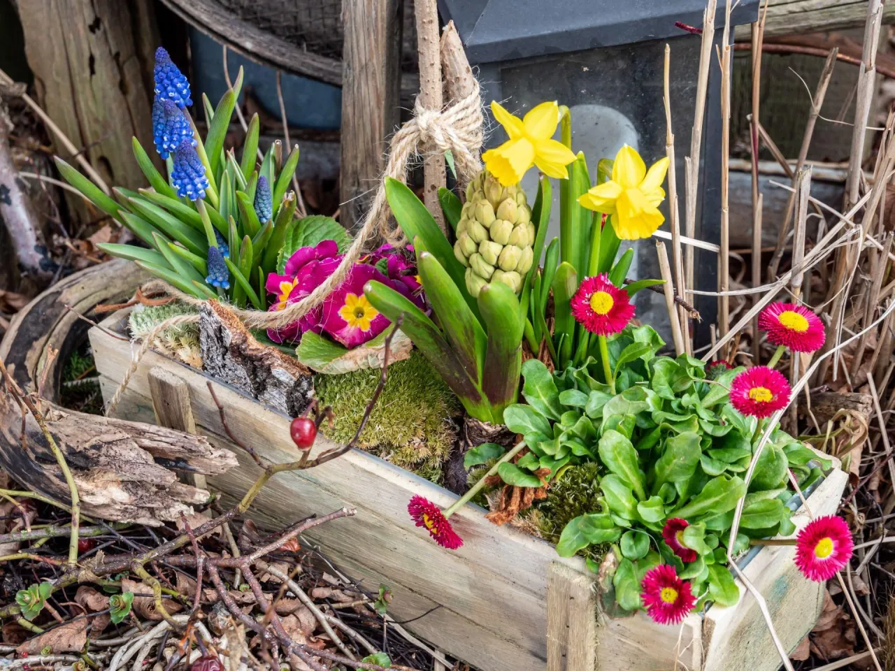 Marzec na tarasie aranżacje kwiatowe Polska