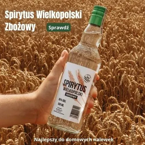 Zdjęcie Jak rozrobić spirytus z sokiem malinowym – prosty przepis na domowy napój alkoholowy