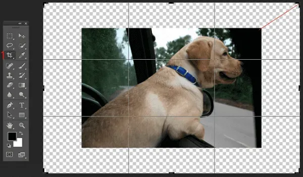 Zdjęcie Jak cofać w Photoshopie i uniknąć niechcianych zmian w pracy