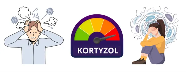 Zdjęcie Podwyższony poziom kortyzolu: objawy, przyczyny i skutki zdrowotne