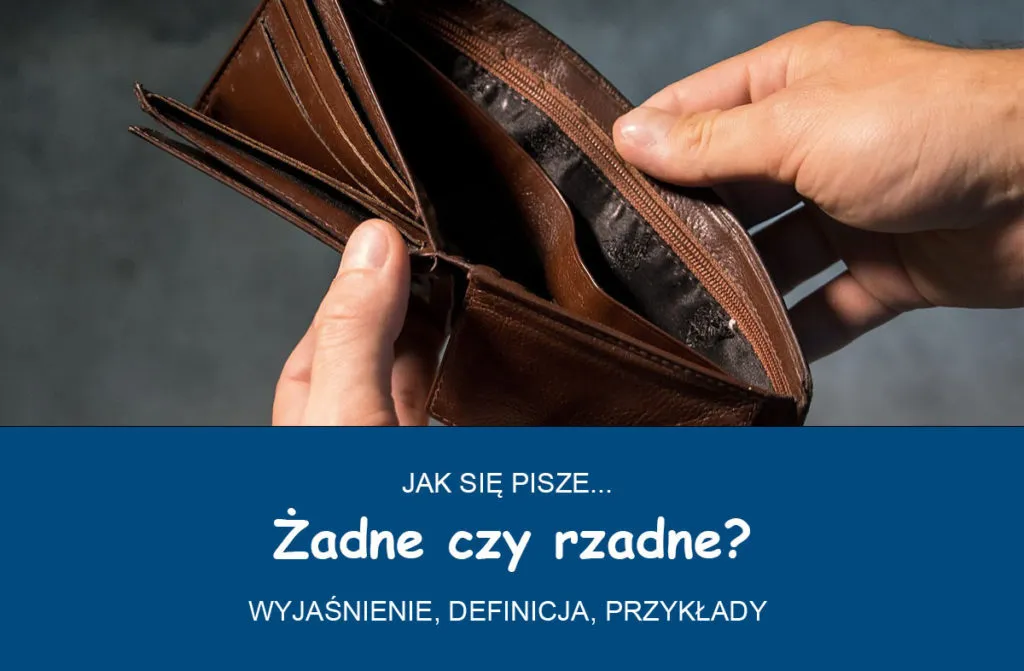 Zdjęcie Jak się pisze żadnej? Kluczowe zasady i przykłady użycia w zdaniach