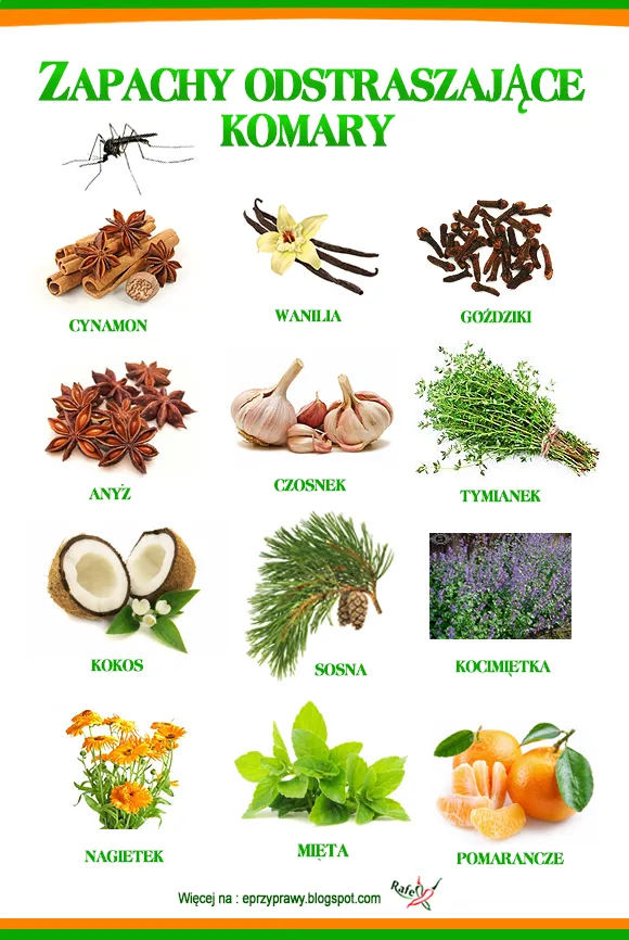 Zdjęcie Skuteczne sposoby na komary na tarasie - naturalne i domowe metody