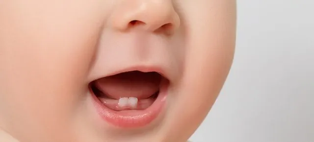 Zdjęcie Które zęby są mleczne? Poznaj ich rodzaje i funkcje w rozwoju dziecka