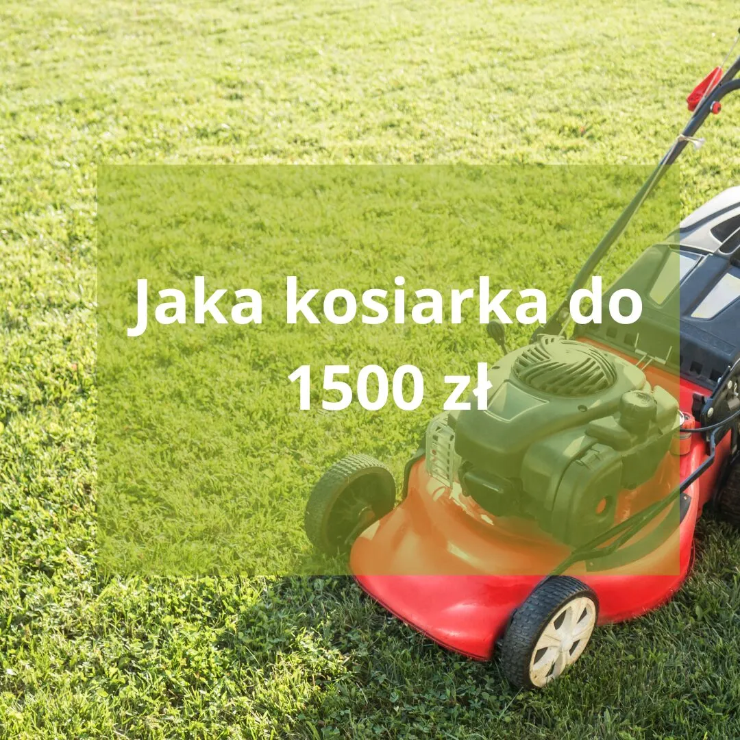 Zdjęcie Jaką kosiarkę spalinową kupić, aby uniknąć niepotrzebnych wydatków?
