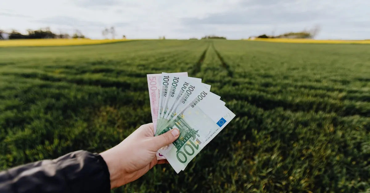 Zdjęcie Dopłaty do kukurydzy: Co warto wiedzieć o wsparciu finansowym?