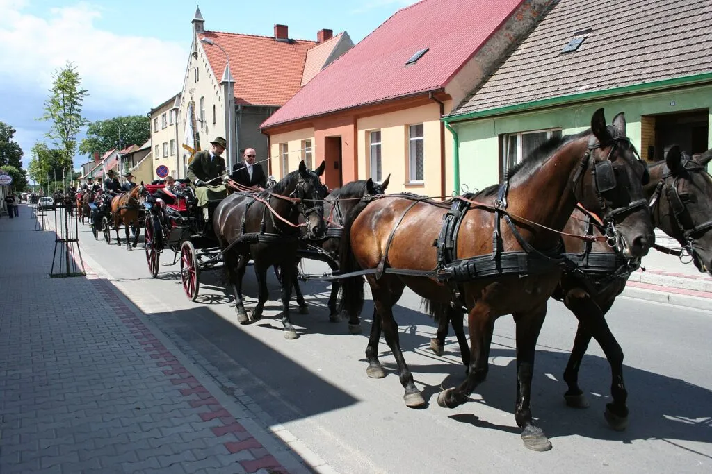 Zdjęcie Najciekawsze atrakcje w Sierakowie, które musisz zobaczyć