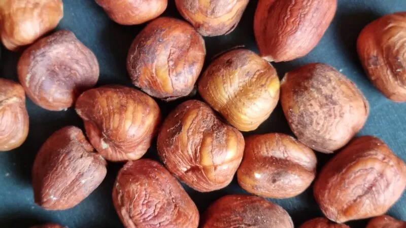 Zdjęcie Les secrets des noisettes grillées : recettes et astuces incontournables