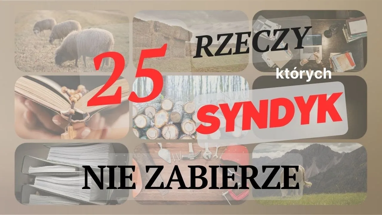 Zdjęcie Czy syndyk może zabrać telewizor? Sprawdź, co możesz stracić