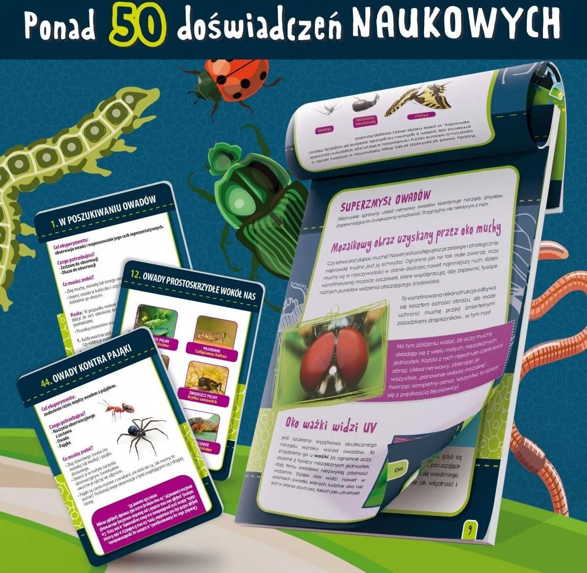 Zdjęcie Jakie są dziedziny biologii? Odkryj fascynujący świat nauki