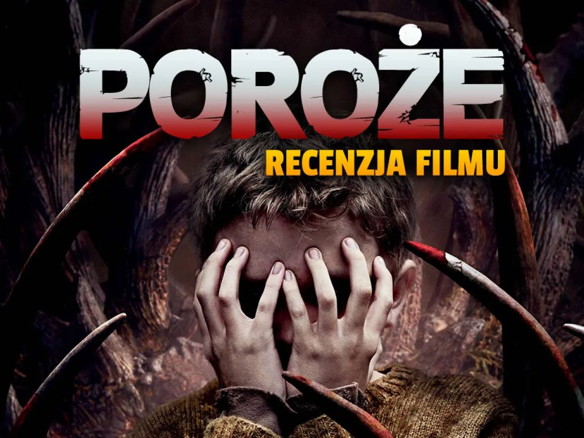 Zdjęcie Najlepsze całe filmy horrory: Lista przerażających pozycji online