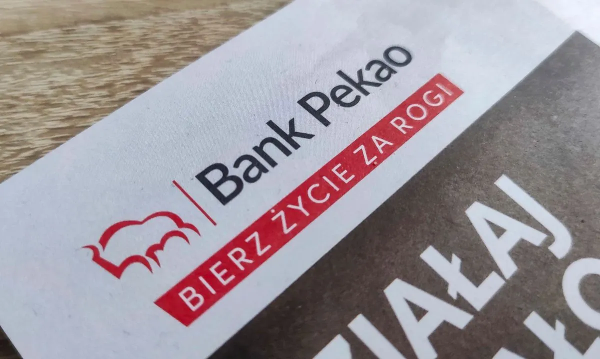 Zdjęcie Czy PKO sprawdza KRD? Jak negatywne wpisy wpływają na kredyt?