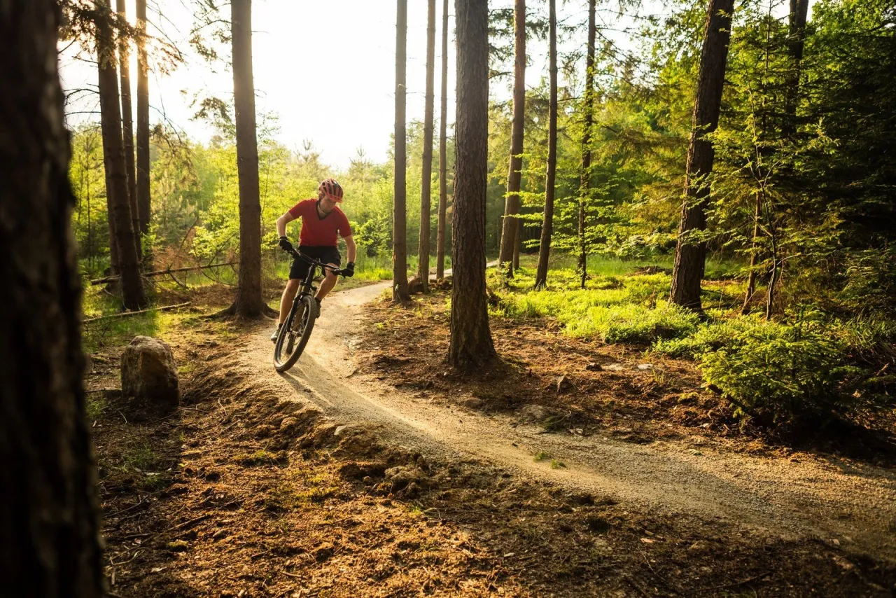 Zdjęcie Najlepsze trasy rowerowe w Poleskim Parku Narodowym – sprawdź je teraz