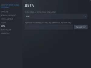Zdjęcie Ukryte sposoby sprawdzenia wersji gry na Steam bez wysiłku
