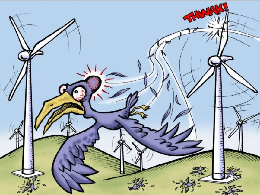 Zdjęcie OZE w Niemczech: jak nasi zachodni sąsiedzi stali się liderem energii odnawialnej