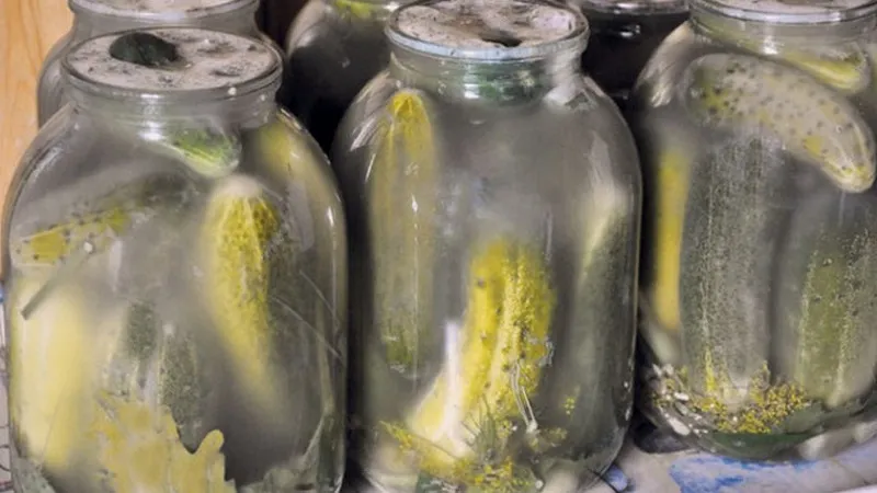 miękkie ogórki kiszone, spleśniałe ogórki w słoiku, zmętniała solanka