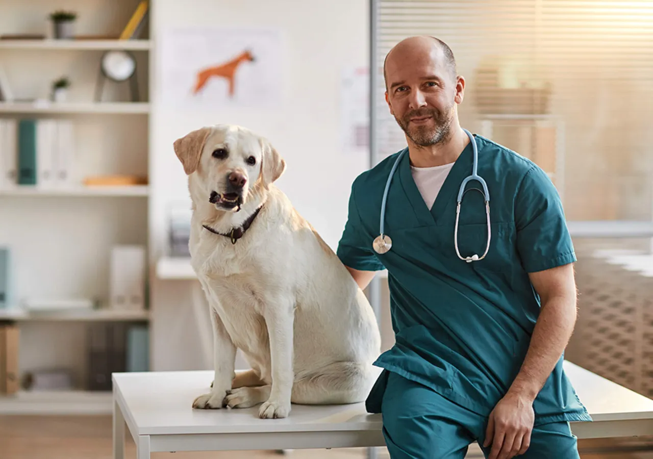 weterynarz omawia dietę z właścicielem psa