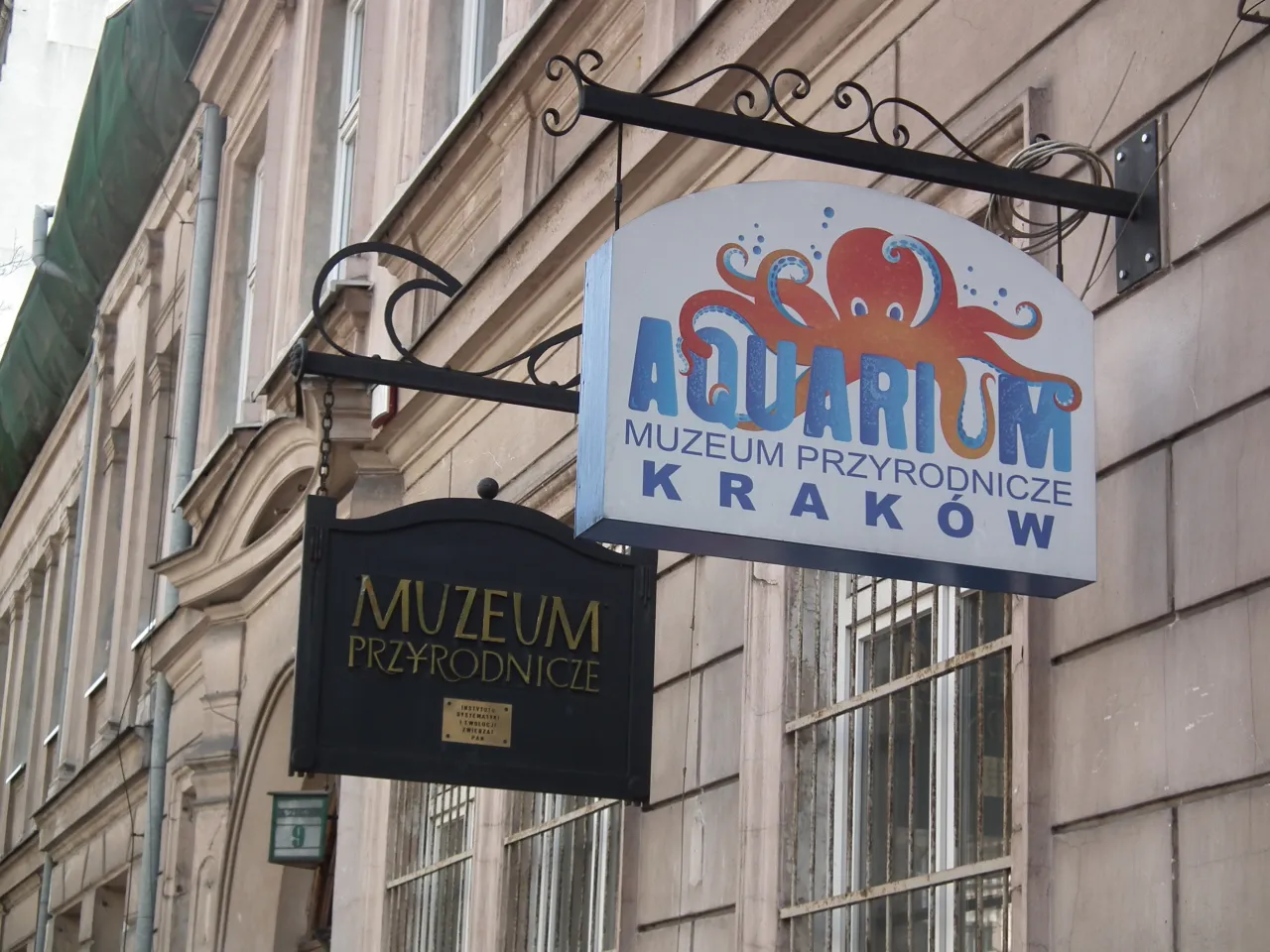 Akwarium ul. św. Sebastiana Kraków