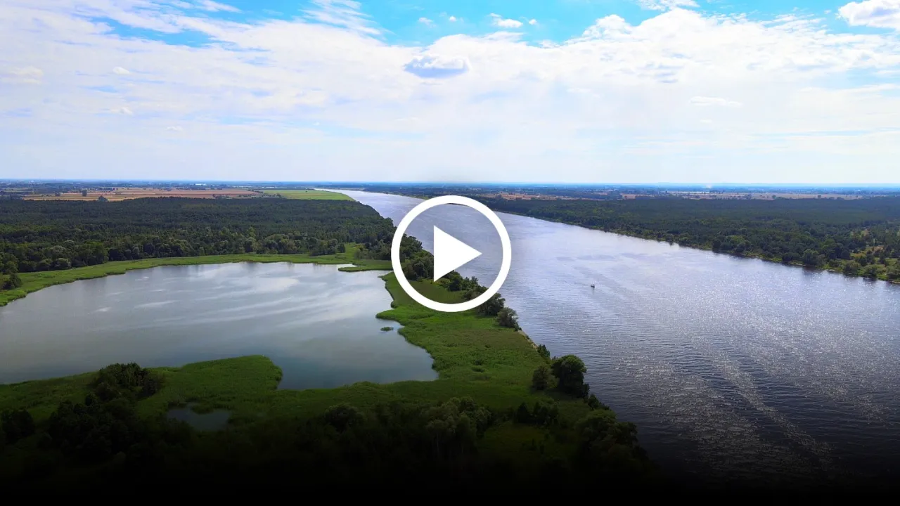 Szeroka rzeka, gdzie wpada Wisła do morza, otoczona lasami i zielonymi brzegami, pod błękitnym niebem z chmurami.