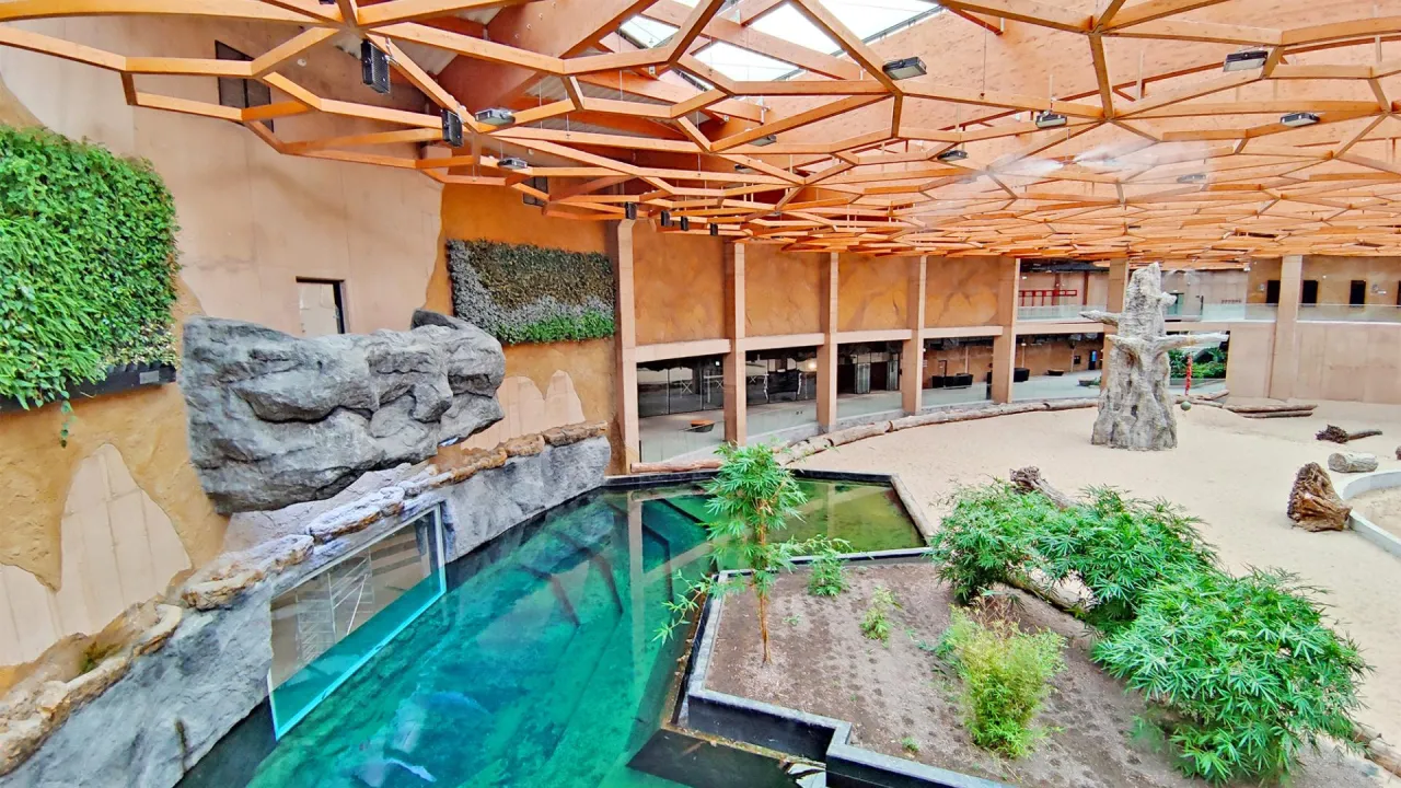 Orientarium ZOO Ł&oacute;dź atrakcje podwodny tunel