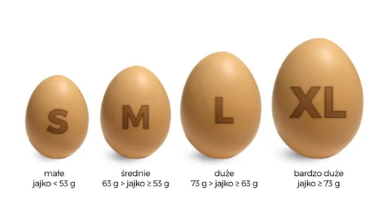 jajka rozmiary S M L kaloryczność
