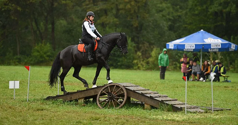 Dzieci na koniu huculskim
