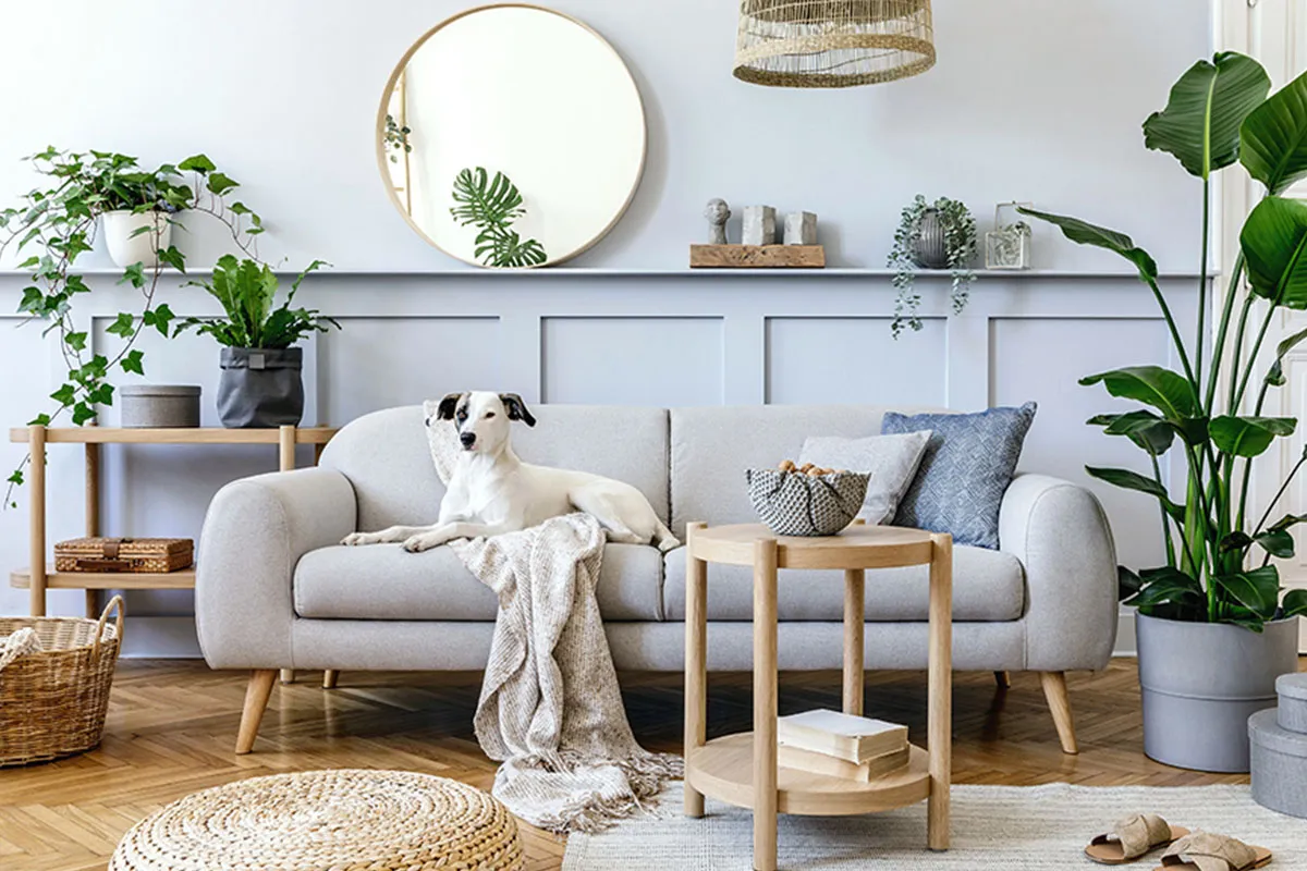 Rośliny doniczkowe i kwiaty na stoliku kawowym inspiracje