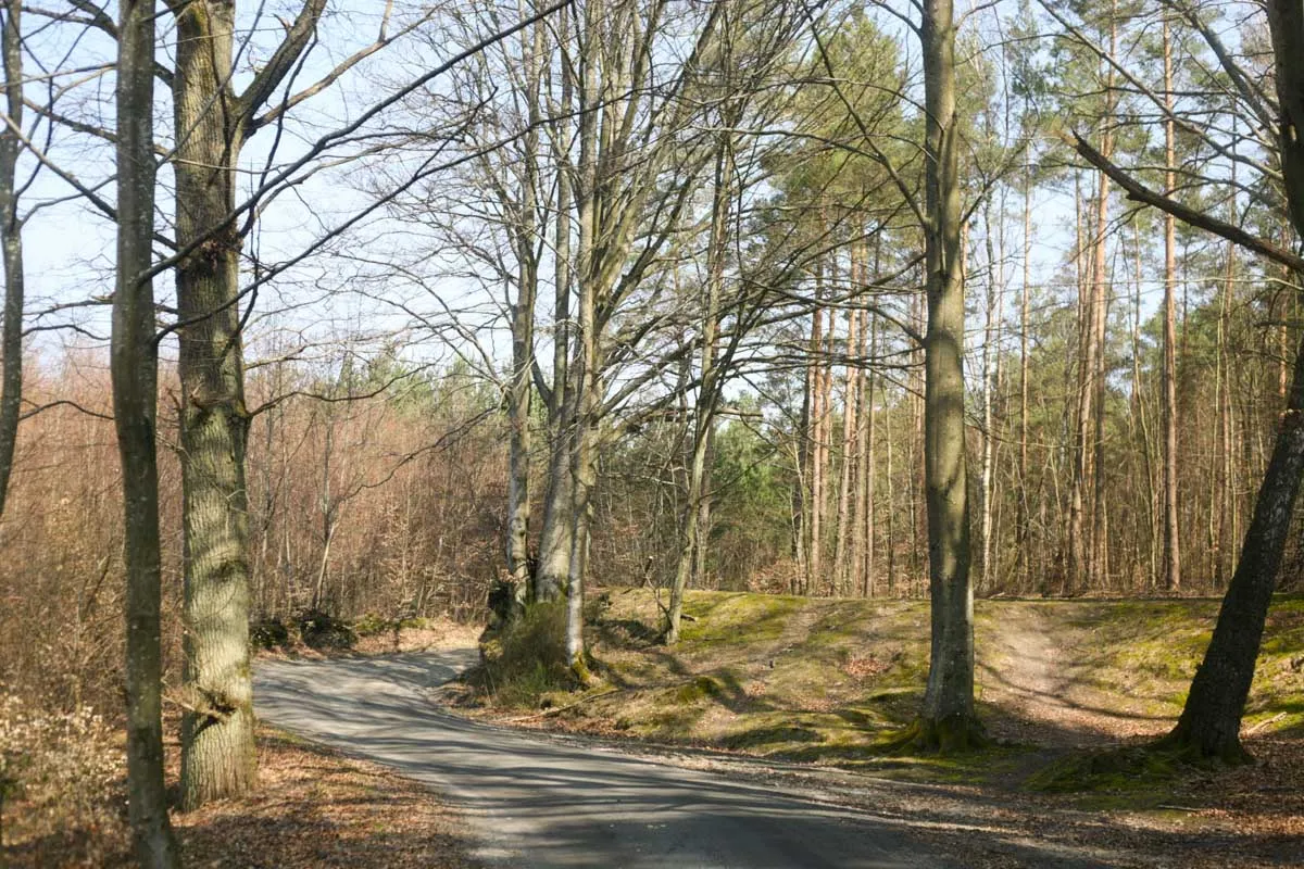 Zdjęcie Białogóra atrakcje: odkryj najpiękniejsze miejsca dla rodzin i przyrody